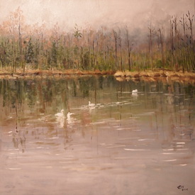 Swans - 11790482 /leinwand/bigthumb/11790482.jpg