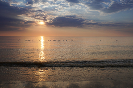 Katwijk Sonnenuntergang - 11798784 /leinwand/bigthumb/11798784.jpg