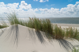 Strand von Langeoog - 11799148 /leinwand/bigthumb/11799148.jpg