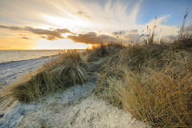 Goldener Glanz am Ostseestrand - 11890493 /leinwand/bigthumb/11890493.jpg