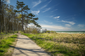 An der Ostsee - 11901618 /leinwand/bigthumb/11901618.jpg