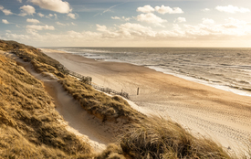 Sylter Sehnsucht - 11919263 /leinwand/bigthumb/11919263.jpg