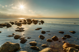 Ostseesterne - 11926748 /leinwand/bigthumb/11926748.jpg