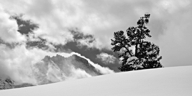 Arve vor Jungfrau - 12020613 /leinwand/bigthumb/12020613.jpg