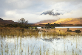 lake tranquility - 12123469 /leinwand/bigthumb/12123469.jpg