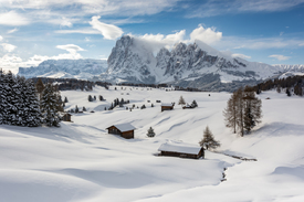 Winter auf der Seiser Alm in Südtirol - 12377911 /leinwand/bigthumb/12377911.jpg