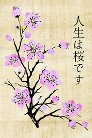 SAKURA - 12486212 /leinwand/bigthumb/12486212.jpg