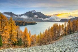 Abends am Silsersee im Engadin in der Schweiz - 12644795 /leinwand/bigthumb/12644795.jpg