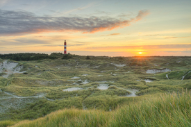 Blick über die Dünen zum Amrumer Leuchtturm - 12846302 /leinwand/bigthumb/12846302.jpg