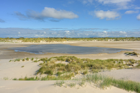 In den Dünen auf Amrum - 12846840 /leinwand/bigthumb/12846840.jpg