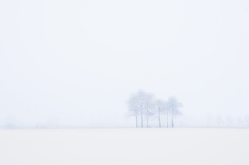 Winterzeit  - 12851960 /leinwand/bigthumb/12851960.jpg