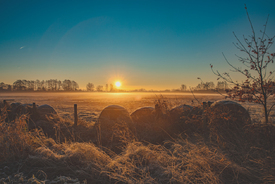 Heuballen im Morgenlicht - 12861885 /leinwand/bigthumb/12861885.jpg