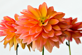 colours - 9313738 /leinwand/bigthumb/9313738.jpg