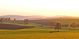 Herbstlich(t) - 9408832 /leinwand/bigthumb/9408832.jpg