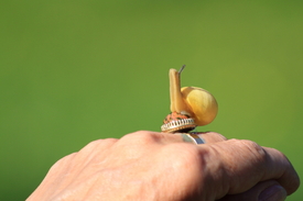 /leinwand/bigthumb/9469310.jpg