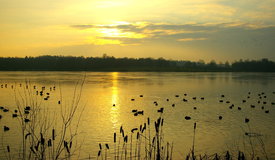 lakeside resort - 9484324 /leinwand/bigthumb/9484324.jpg