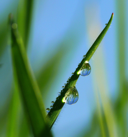 Wassertropfen - 9619942 /leinwand/bigthumb/9619942.jpg