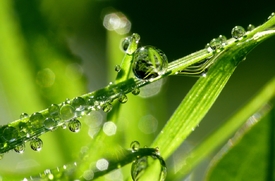 Wassertropfen - 9658158 /leinwand/bigthumb/9658158.jpg