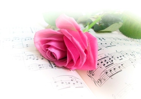 My little Rose - 9661990 /leinwand/bigthumb/9661990.jpg