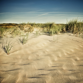 Strand Impression | 02 - 9675986 /leinwand/bigthumb/9675986.jpg