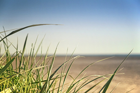 Strand Impression | 06 - 9676430 /leinwand/bigthumb/9676430.jpg