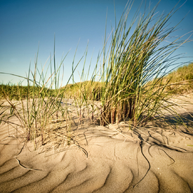 Strand Impression | 10 - 9683464 /leinwand/bigthumb/9683464.jpg