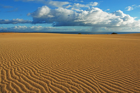 Dünenlandschaft bei Corralejo auf Fuerteventura - 9970477 /leinwand/bigthumb/9970477.jpg