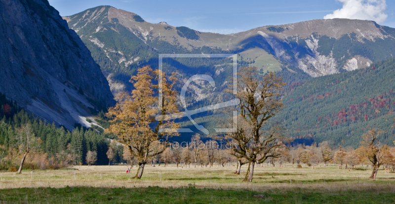 frei wählbarer Bildausschnitt für Ihr Bild auf Leinwand