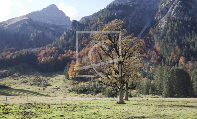 frei wählbarer Bildausschnitt für Ihr Bild auf Leinwand