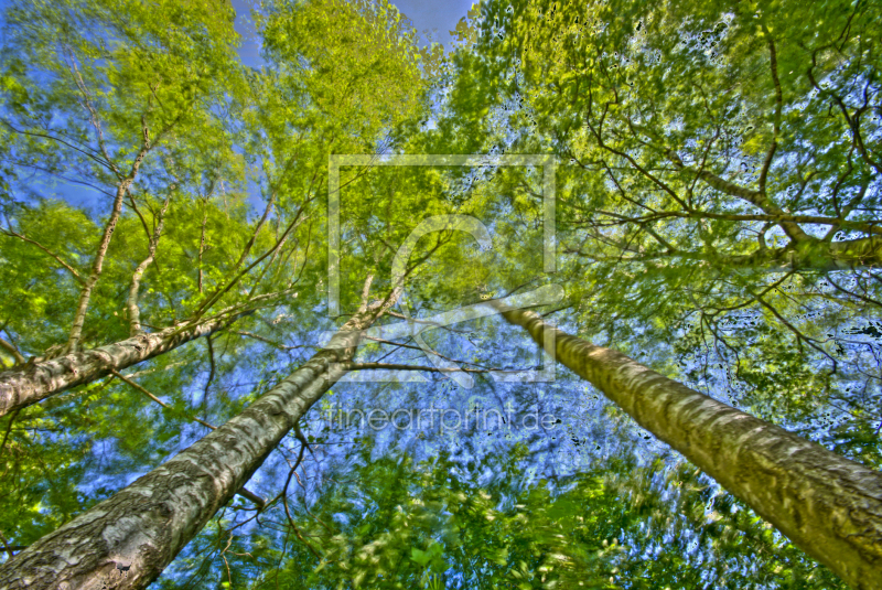 frei wählbarer Bildausschnitt für Ihr Bild auf Leinwand