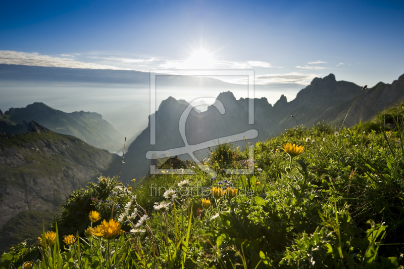 frei wählbarer Bildausschnitt für Ihr Bild auf Leinwand