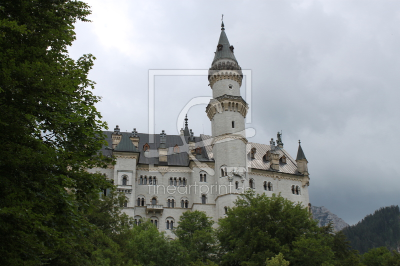 frei wählbarer Bildausschnitt für Ihr Bild auf Leinwand