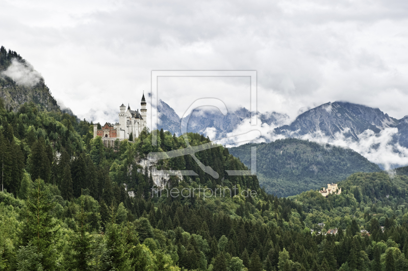 frei wählbarer Bildausschnitt für Ihr Bild auf Leinwand