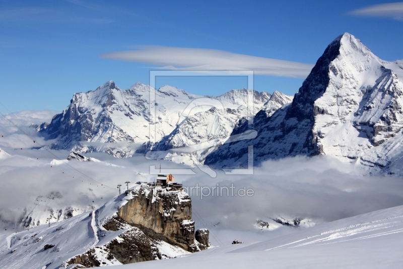 frei wählbarer Bildausschnitt für Ihr Bild auf Leinwand