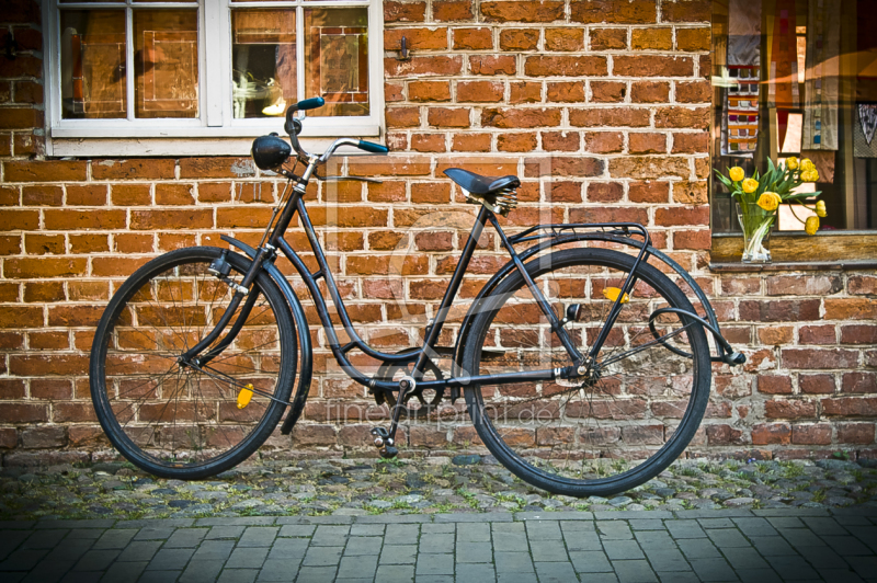 frei wählbarer Bildausschnitt für Ihr Bild auf Leinwand