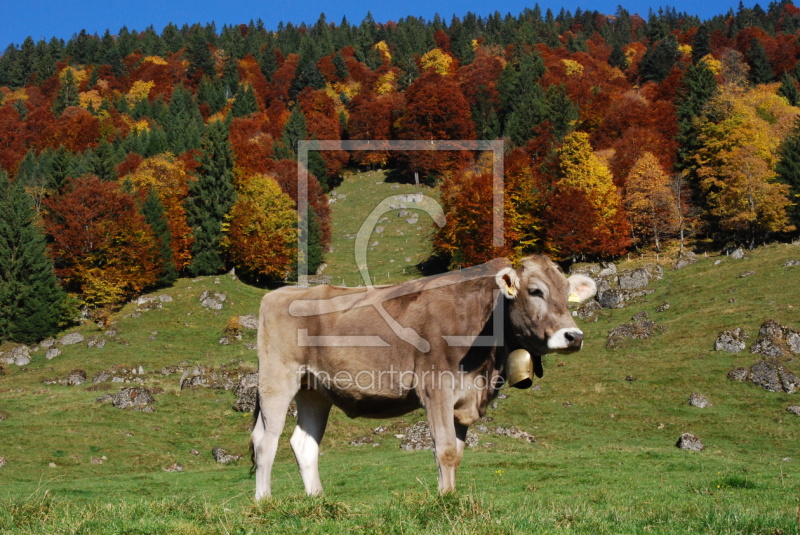 frei wählbarer Bildausschnitt für Ihr Bild auf Leinwand