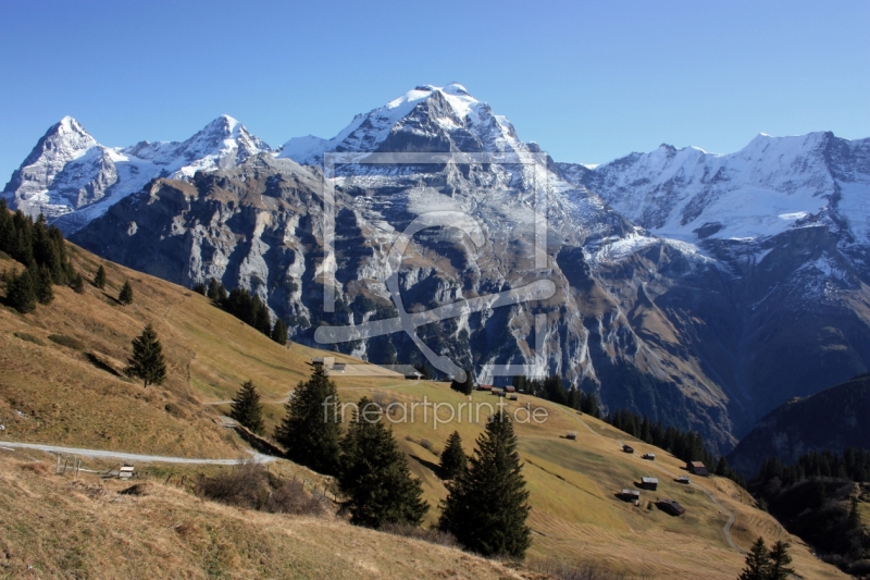 frei wählbarer Bildausschnitt für Ihr Bild auf Leinwand