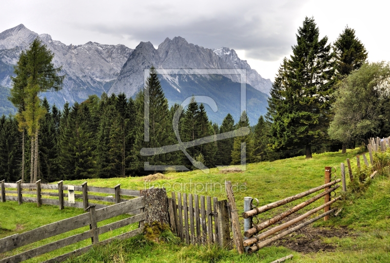 frei wählbarer Bildausschnitt für Ihr Bild auf Leinwand