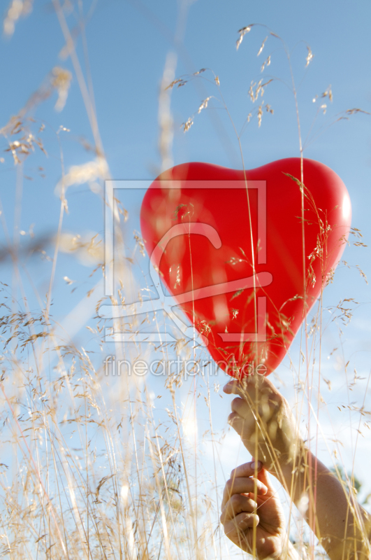 frei wählbarer Bildausschnitt für Ihr Bild auf Leinwand