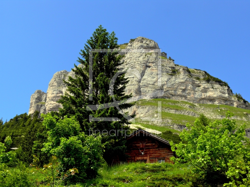 frei wählbarer Bildausschnitt für Ihr Bild auf Leinwand