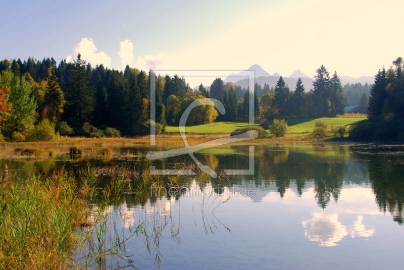 frei wählbarer Bildausschnitt für Ihr Bild auf Leinwand