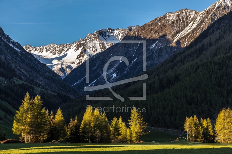 frei wählbarer Bildausschnitt für Ihr Bild auf Leinwand