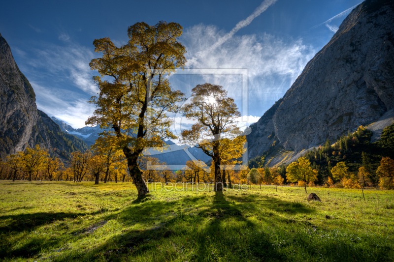 frei wählbarer Bildausschnitt für Ihr Bild auf Leinwand