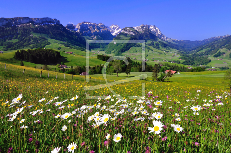 frei wählbarer Bildausschnitt für Ihr Bild auf Leinwand