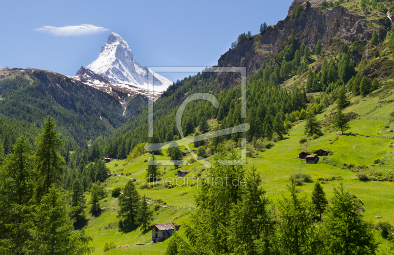 frei wählbarer Bildausschnitt für Ihr Bild auf Leinwand