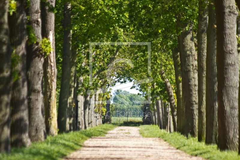 frei wählbarer Bildausschnitt für Ihr Bild auf Leinwand