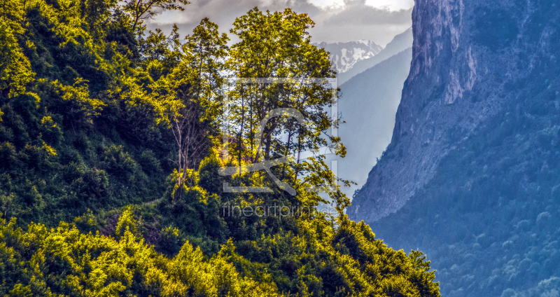 frei wählbarer Bildausschnitt für Ihr Bild auf Leinwand