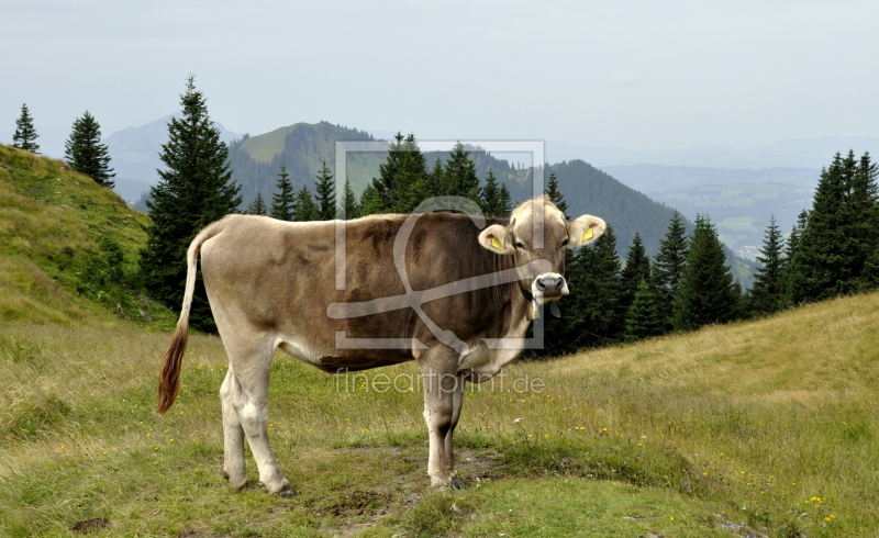 frei wählbarer Bildausschnitt für Ihr Bild auf Leinwand