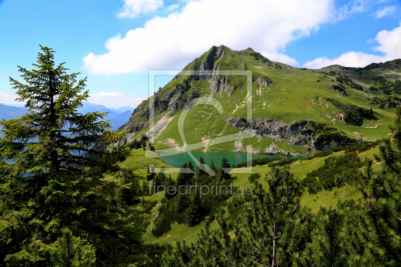 frei wählbarer Bildausschnitt für Ihr Bild auf Leinwand