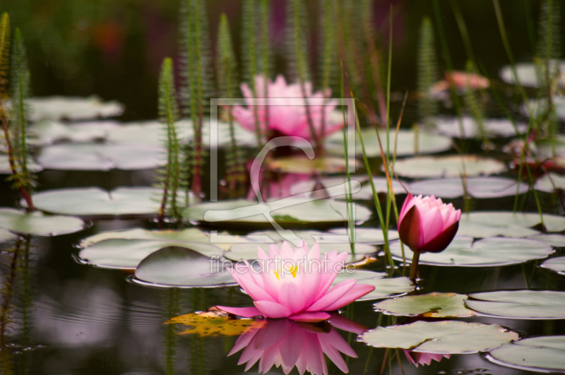 frei wählbarer Bildausschnitt für Ihr Bild auf Leinwand